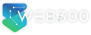WEB300